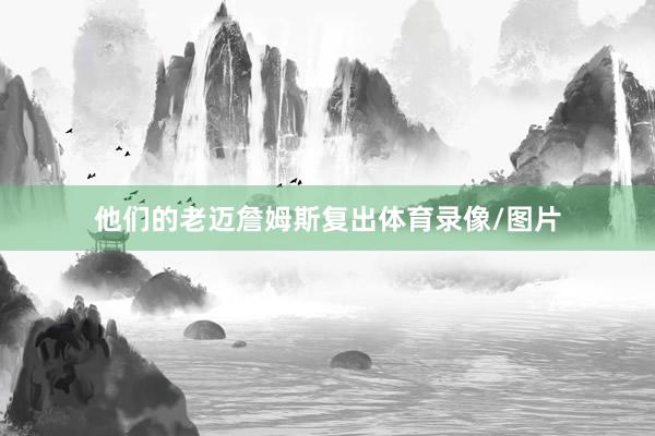 他们的老迈詹姆斯复出体育录像/图片