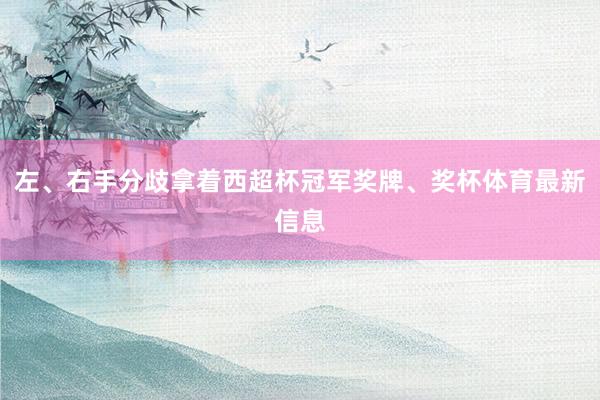左、右手分歧拿着西超杯冠军奖牌、奖杯体育最新信息