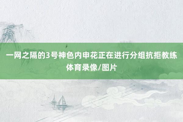 一网之隔的3号神色内申花正在进行分组抗拒教练体育录像/图片
