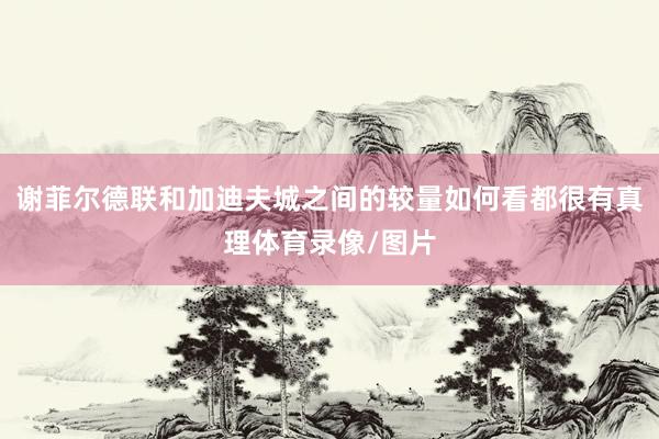 谢菲尔德联和加迪夫城之间的较量如何看都很有真理体育录像/图片