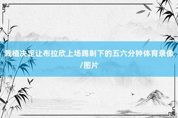 栽植决定让布拉欣上场踢剩下的五六分钟体育录像/图片