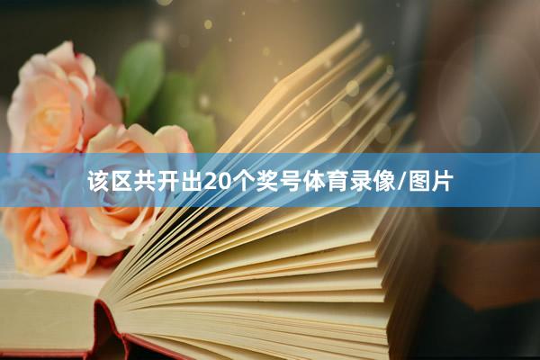 该区共开出20个奖号体育录像/图片