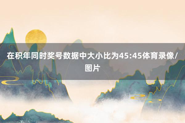 在积年同时奖号数据中大小比为45:45体育录像/图片