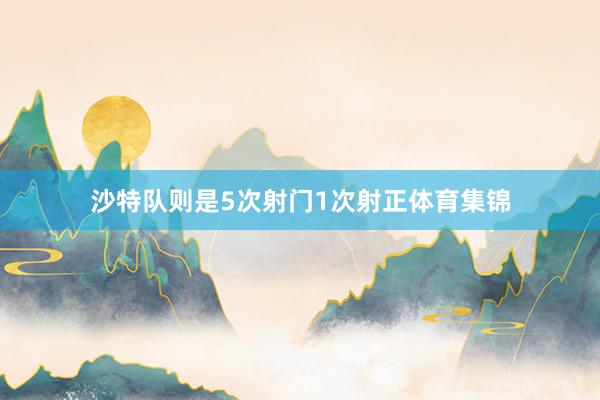 沙特队则是5次射门1次射正体育集锦