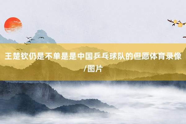 王楚钦仍是不单是是中国乒乓球队的但愿体育录像/图片