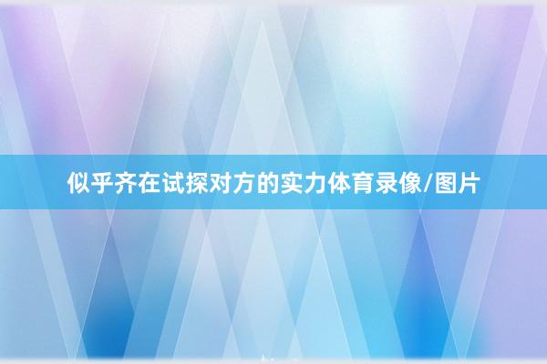 似乎齐在试探对方的实力体育录像/图片