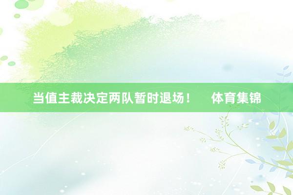 当值主裁决定两队暂时退场！    体育集锦