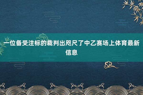 一位备受注标的裁判出咫尺了中乙赛场上体育最新信息