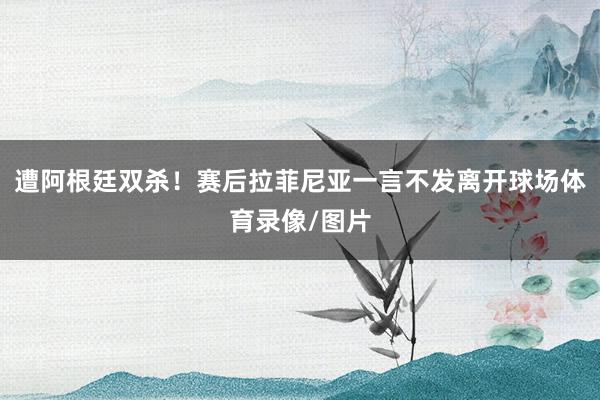 遭阿根廷双杀！赛后拉菲尼亚一言不发离开球场体育录像/图片