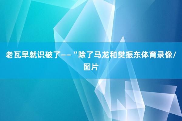 老瓦早就识破了——“除了马龙和樊振东体育录像/图片