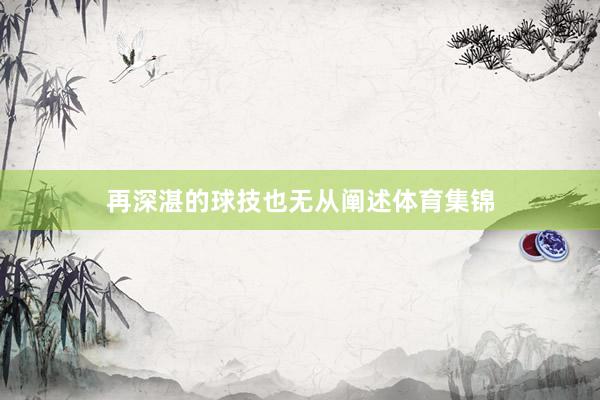 再深湛的球技也无从阐述体育集锦
