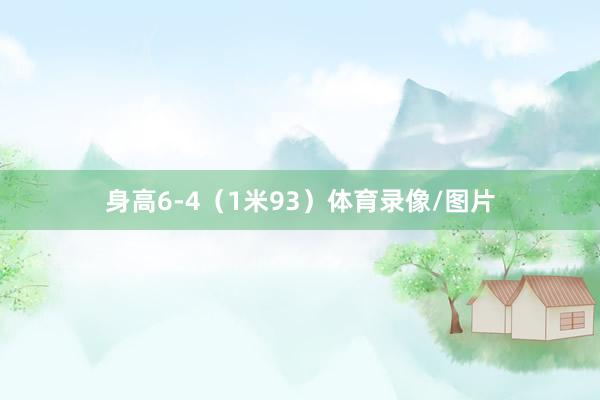 身高6-4（1米93）体育录像/图片
