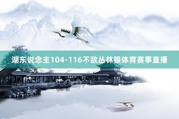 湖东说念主104-116不敌丛林狼体育赛事直播