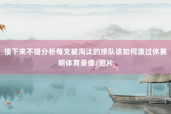 接下来不错分析每支被淘汰的球队该如何渡过休赛期体育录像/图片