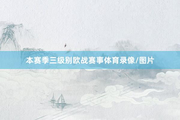 本赛季三级别欧战赛事体育录像/图片