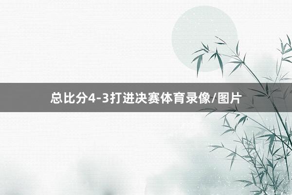 总比分4-3打进决赛体育录像/图片
