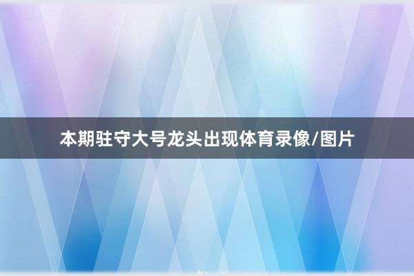本期驻守大号龙头出现体育录像/图片