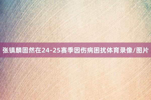 张镇麟固然在24-25赛季因伤病困扰体育录像/图片