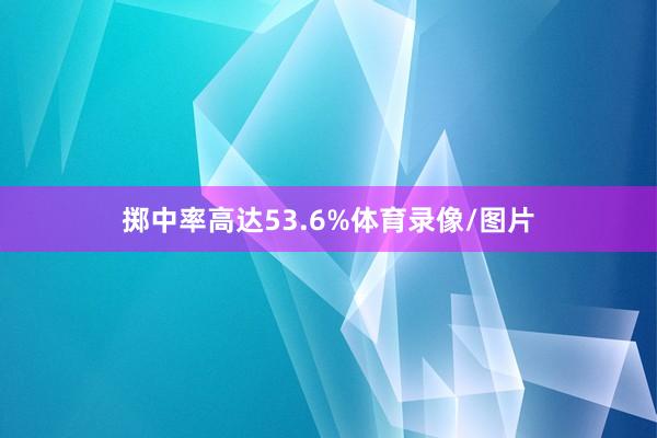 掷中率高达53.6%体育录像/图片
