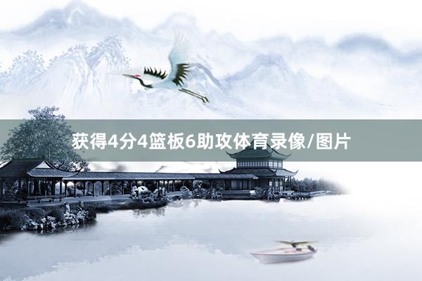 获得4分4篮板6助攻体育录像/图片