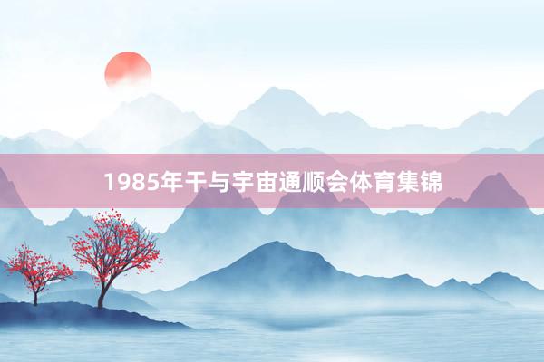 1985年干与宇宙通顺会体育集锦