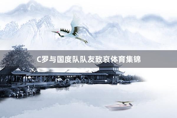 C罗与国度队队友致哀体育集锦