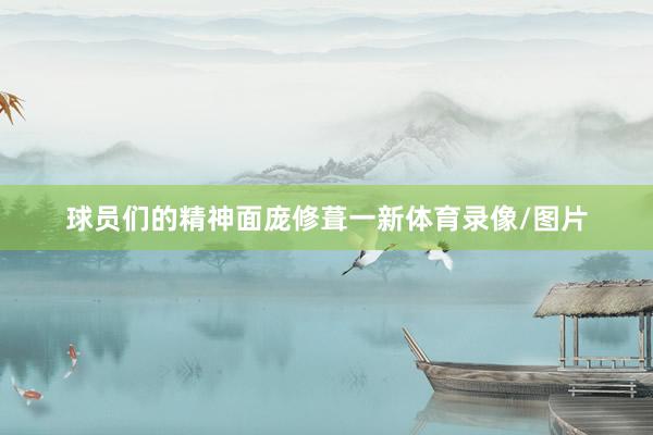 球员们的精神面庞修葺一新体育录像/图片