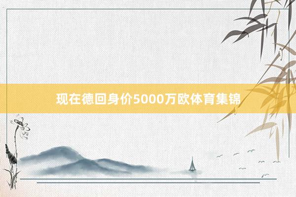 现在德回身价5000万欧体育集锦