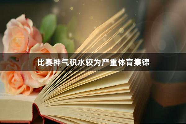 比赛神气积水较为严重体育集锦