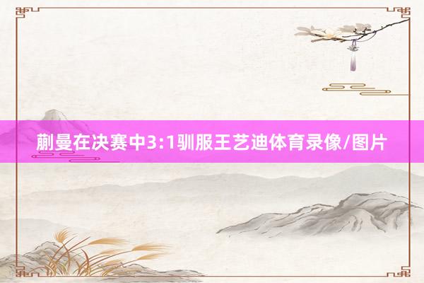 蒯曼在决赛中3:1驯服王艺迪体育录像/图片