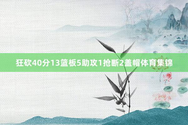狂砍40分13篮板5助攻1抢断2盖帽体育集锦