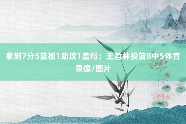 拿到7分5篮板1助攻1盖帽;王哲林投篮8中5体育录像/图片