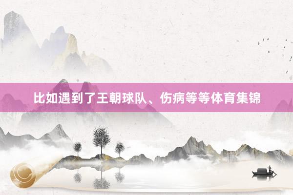 比如遇到了王朝球队、伤病等等体育集锦