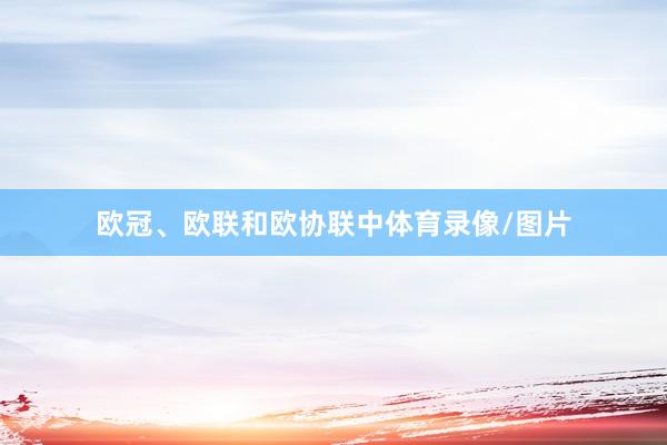 欧冠、欧联和欧协联中体育录像/图片