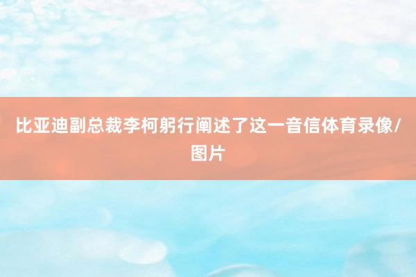 比亚迪副总裁李柯躬行阐述了这一音信体育录像/图片
