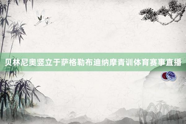 贝林尼奥竖立于萨格勒布迪纳摩青训体育赛事直播