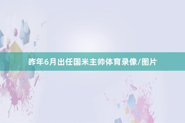 昨年6月出任国米主帅体育录像/图片