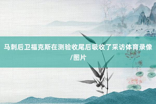 马刺后卫福克斯在测验收尾后吸收了采访体育录像/图片